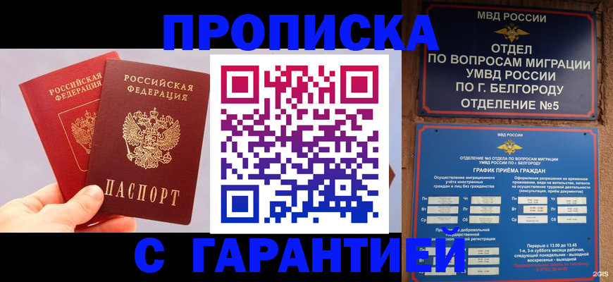 прописка 2025 в Людиново